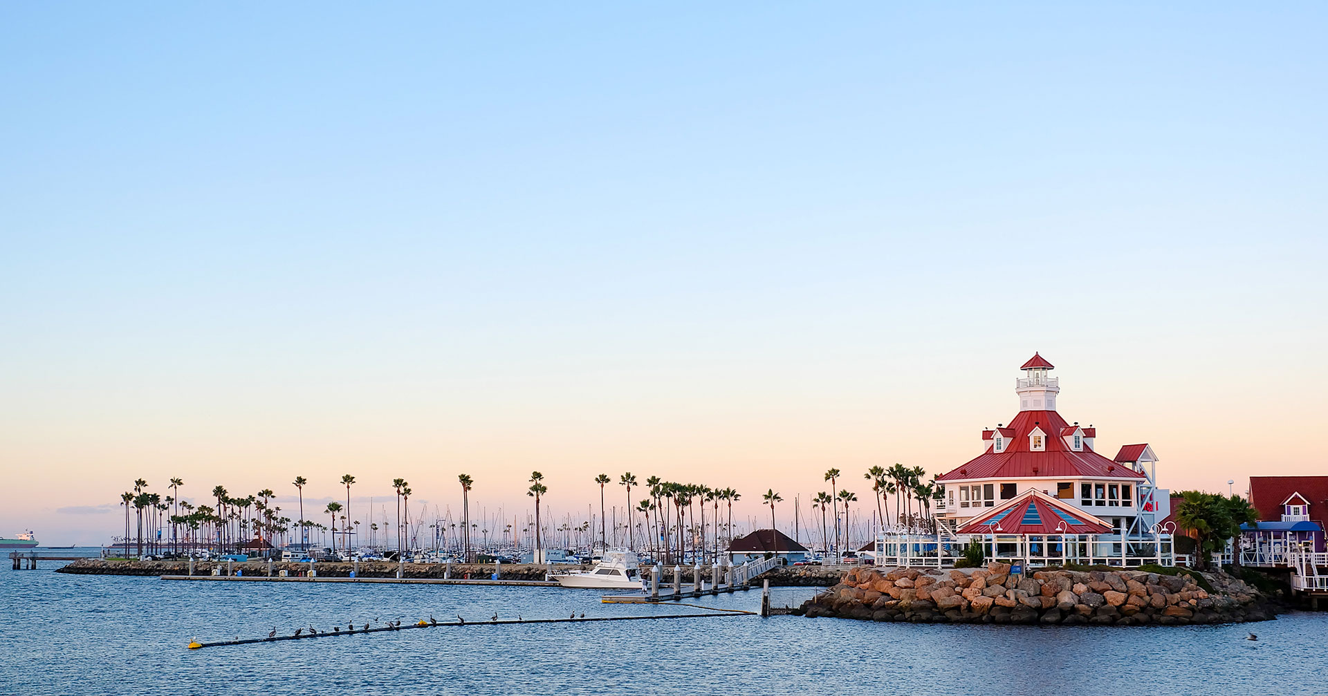 David Younan, DDS | Oral Exams