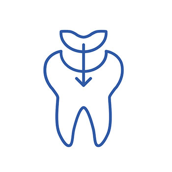 David Younan, DDS | Oral Exams